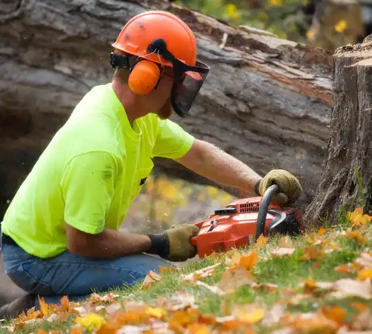 tree services Comstock Northwest